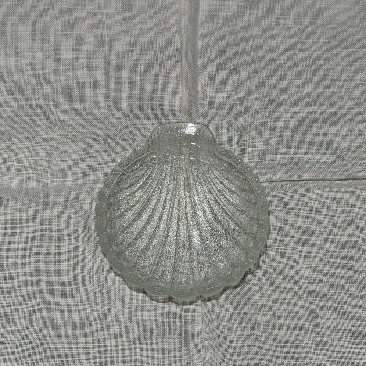 Seashell Coasters
